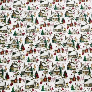 Natale Paesaggio Bianco